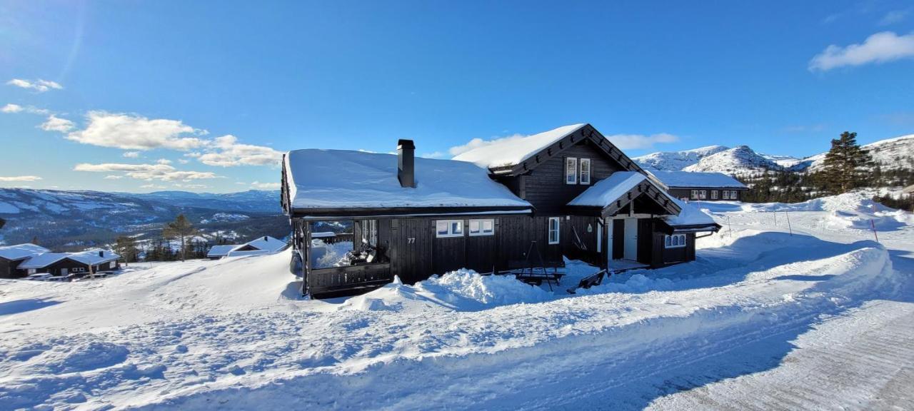 Wonderful Cabin With Amazing Mountain - View Lifjell 外观 照片