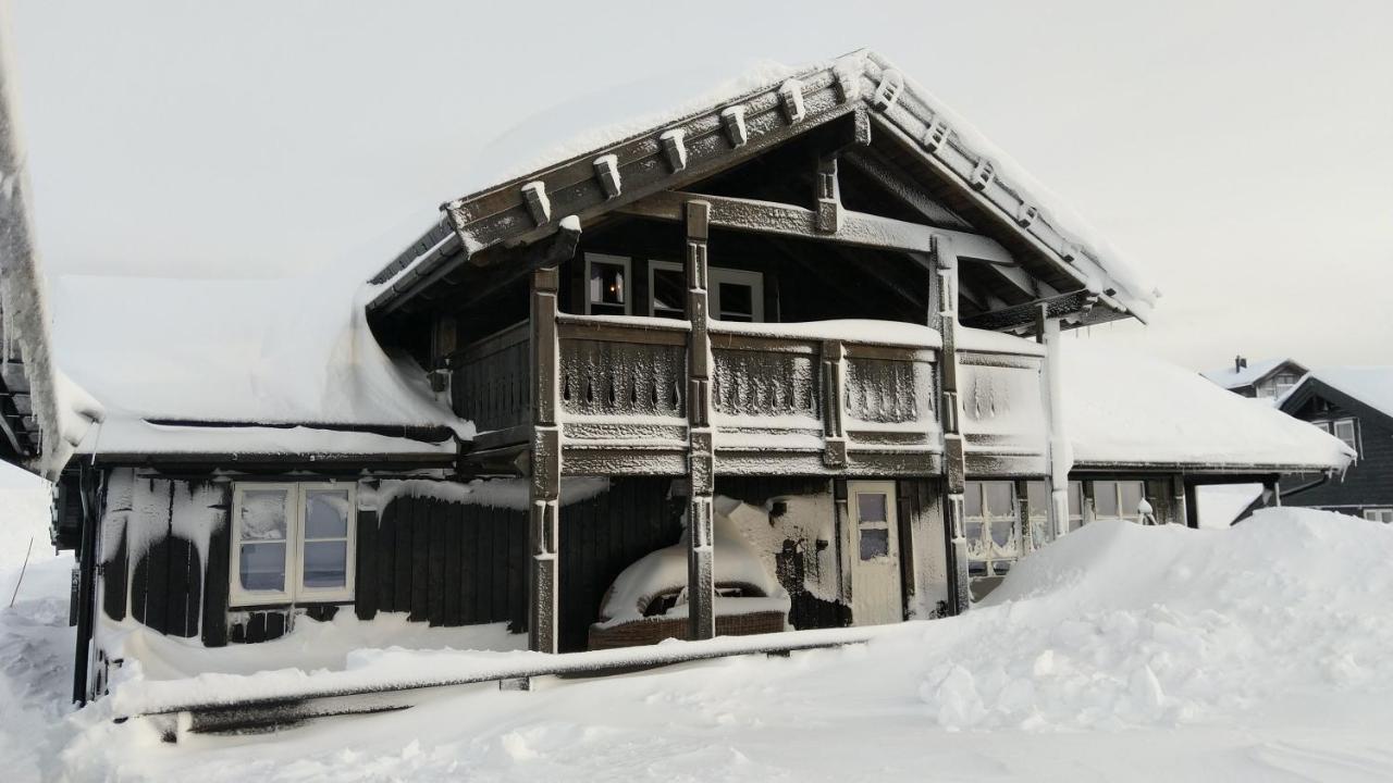 Wonderful Cabin With Amazing Mountain - View Lifjell 外观 照片