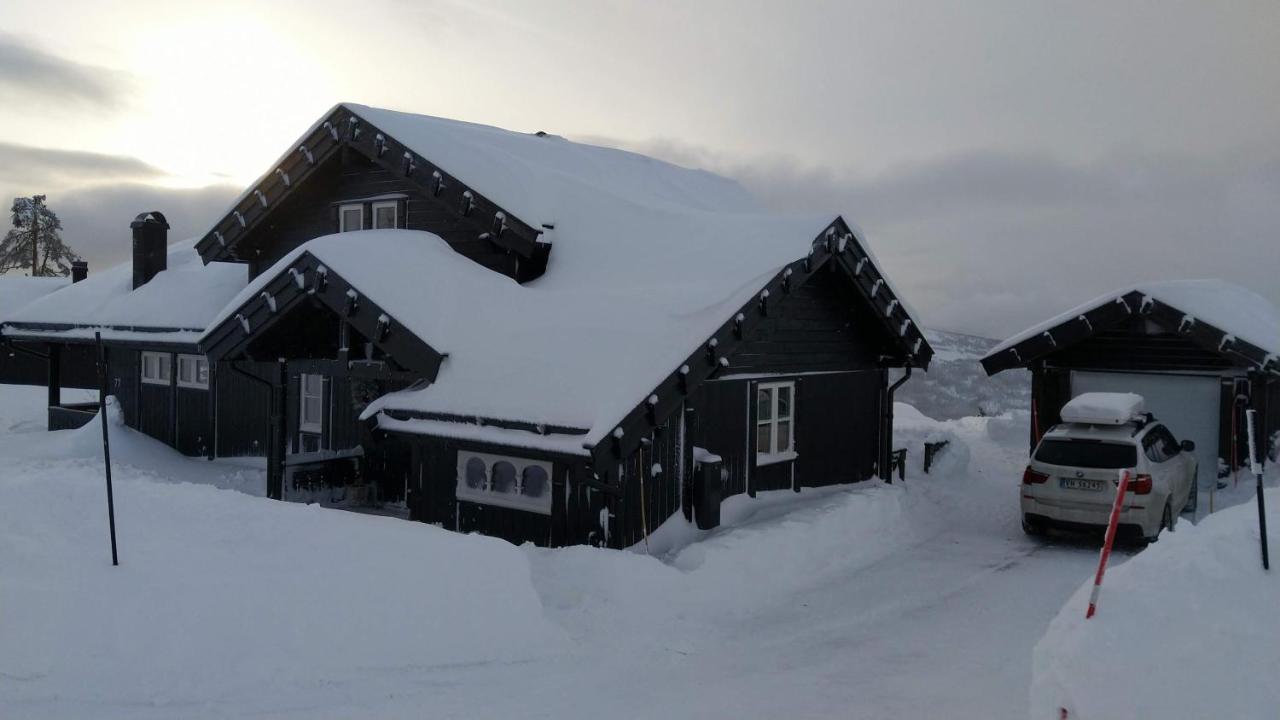 Wonderful Cabin With Amazing Mountain - View Lifjell 外观 照片