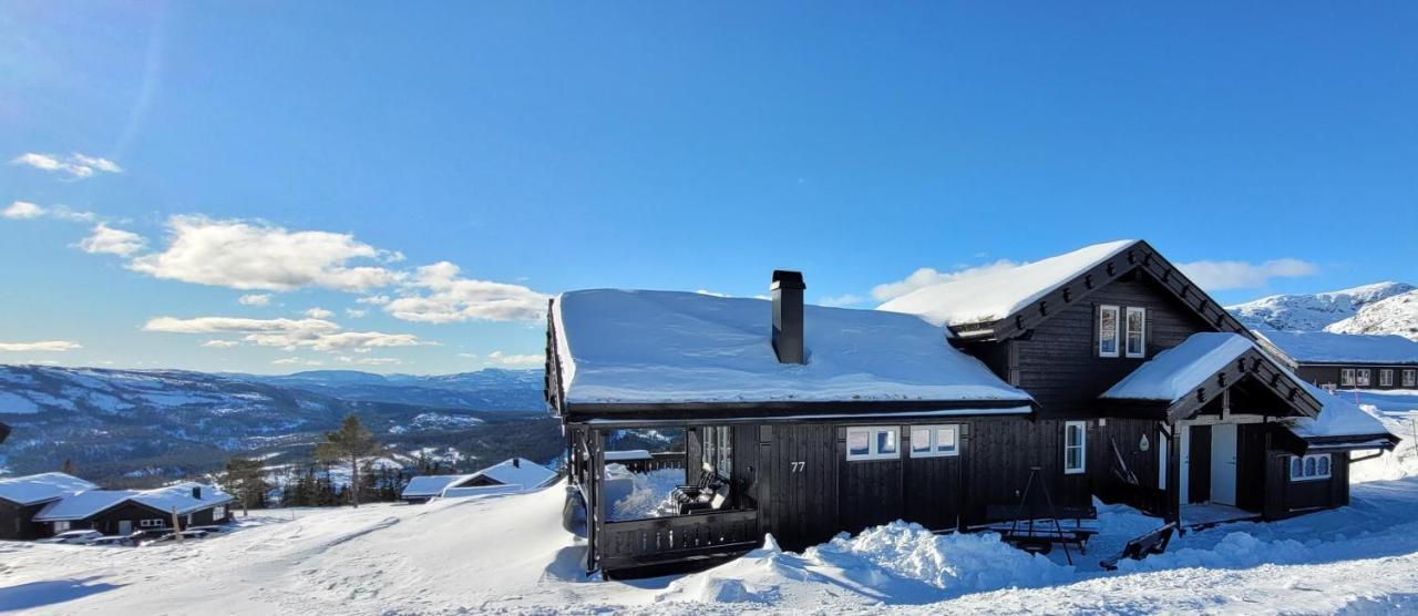 Wonderful Cabin With Amazing Mountain - View Lifjell 外观 照片